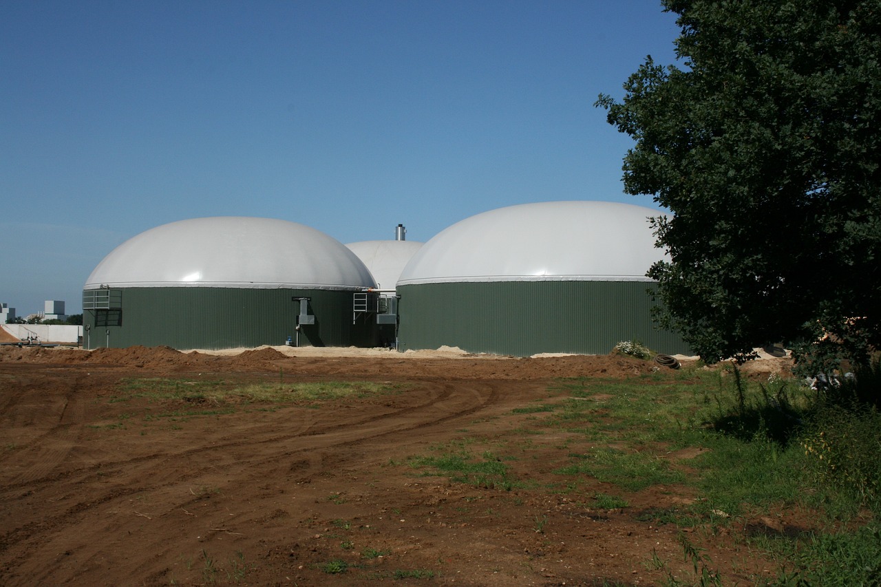 Transforming Trash into Treasure: Mupundu Energy’s Innovative Approach