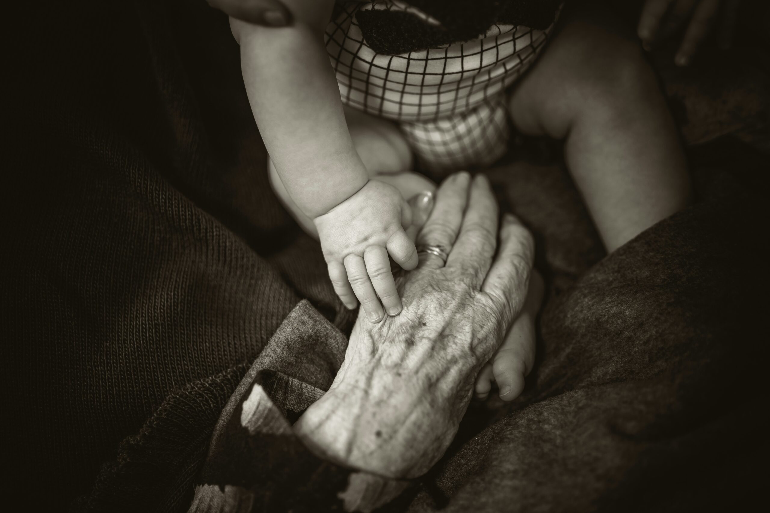 Photo by <a href="https://unsplash.com/@rodlong" rel="nofollow">Rod Long</a> on <a href="https://unsplash.com/?utm_source=hostinger&utm_medium=referral" rel="nofollow">Unsplash</a>
