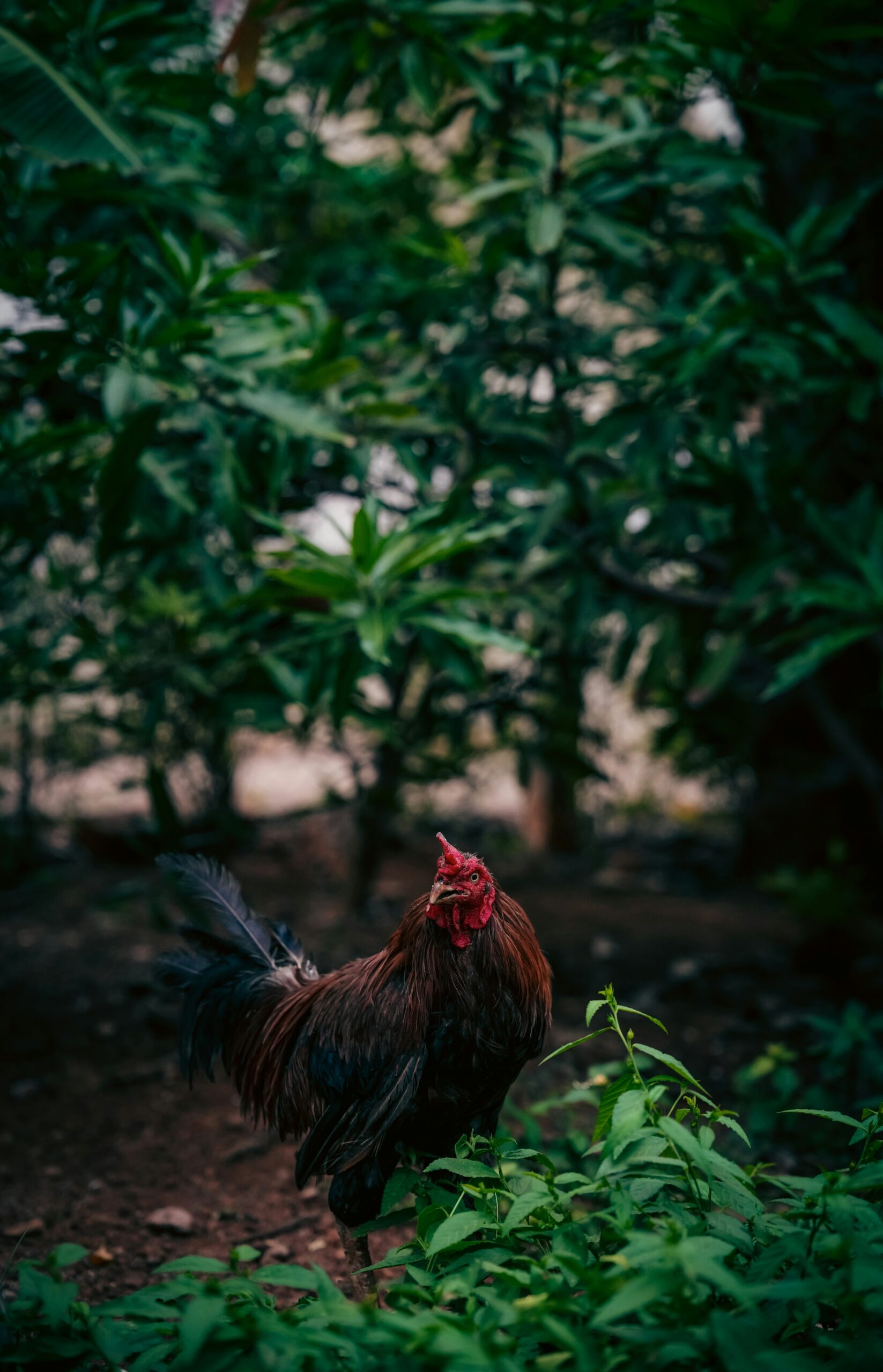 Photo by <a href="https://unsplash.com/@_rayson__" rel="nofollow">Denis Rayson</a> on <a href="https://unsplash.com/?utm_source=hostinger&utm_medium=referral" rel="nofollow">Unsplash</a> 