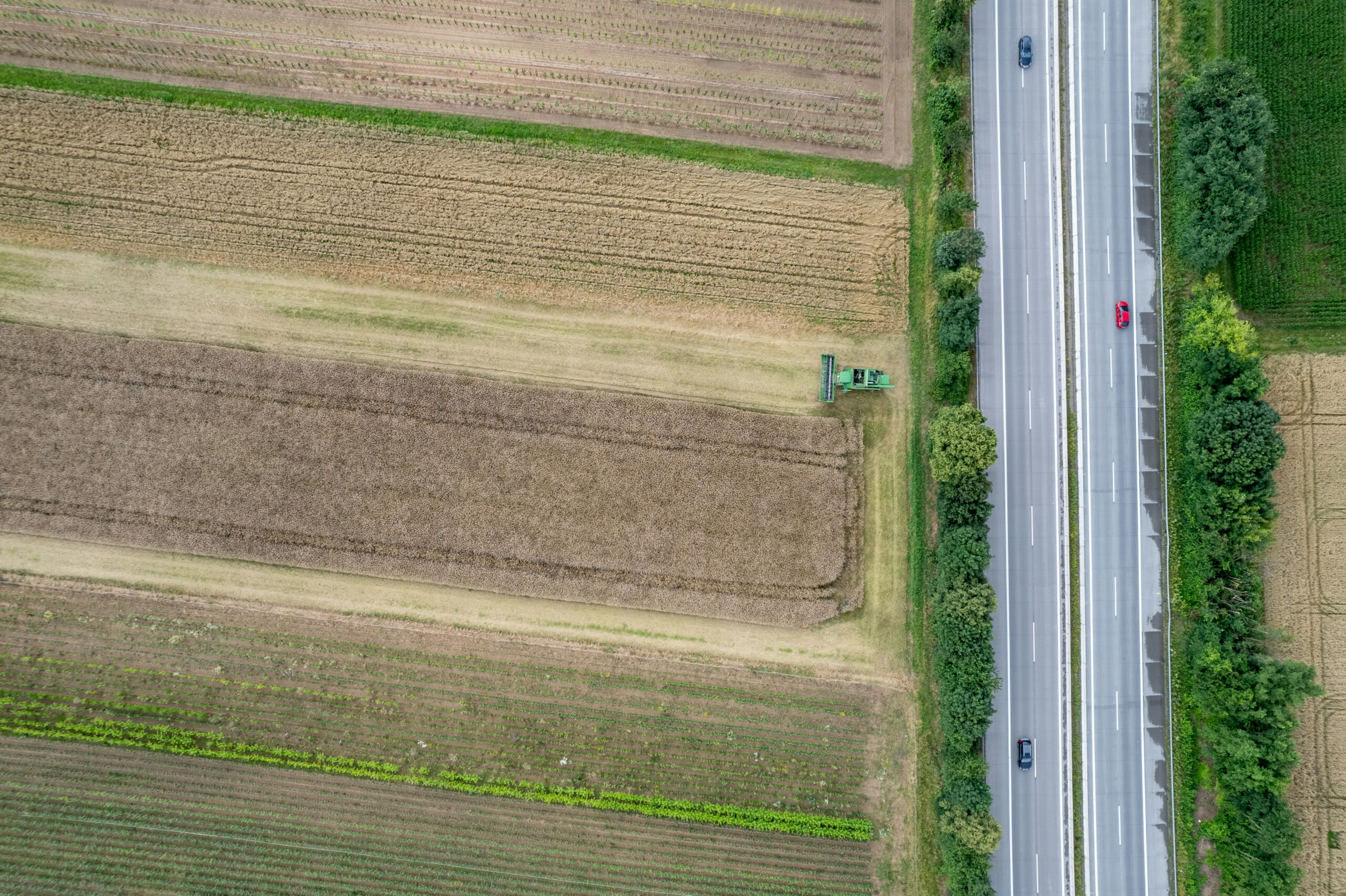 Photo by <a href="https://unsplash.com/@hdbernd" rel="nofollow">Bernd 📷 Dittrich</a> on <a href="https://unsplash.com/?utm_source=hostinger&utm_medium=referral" rel="nofollow">Unsplash</a>