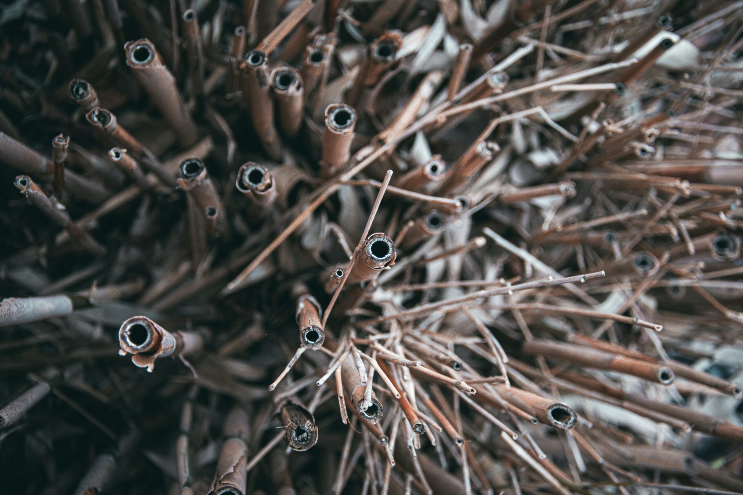 Photo by <a href="https://unsplash.com/@sharpshots" rel="nofollow">Joseph Sharp</a> on <a href="https://unsplash.com/?utm_source=hostinger&utm_medium=referral" rel="nofollow">Unsplash</a> 