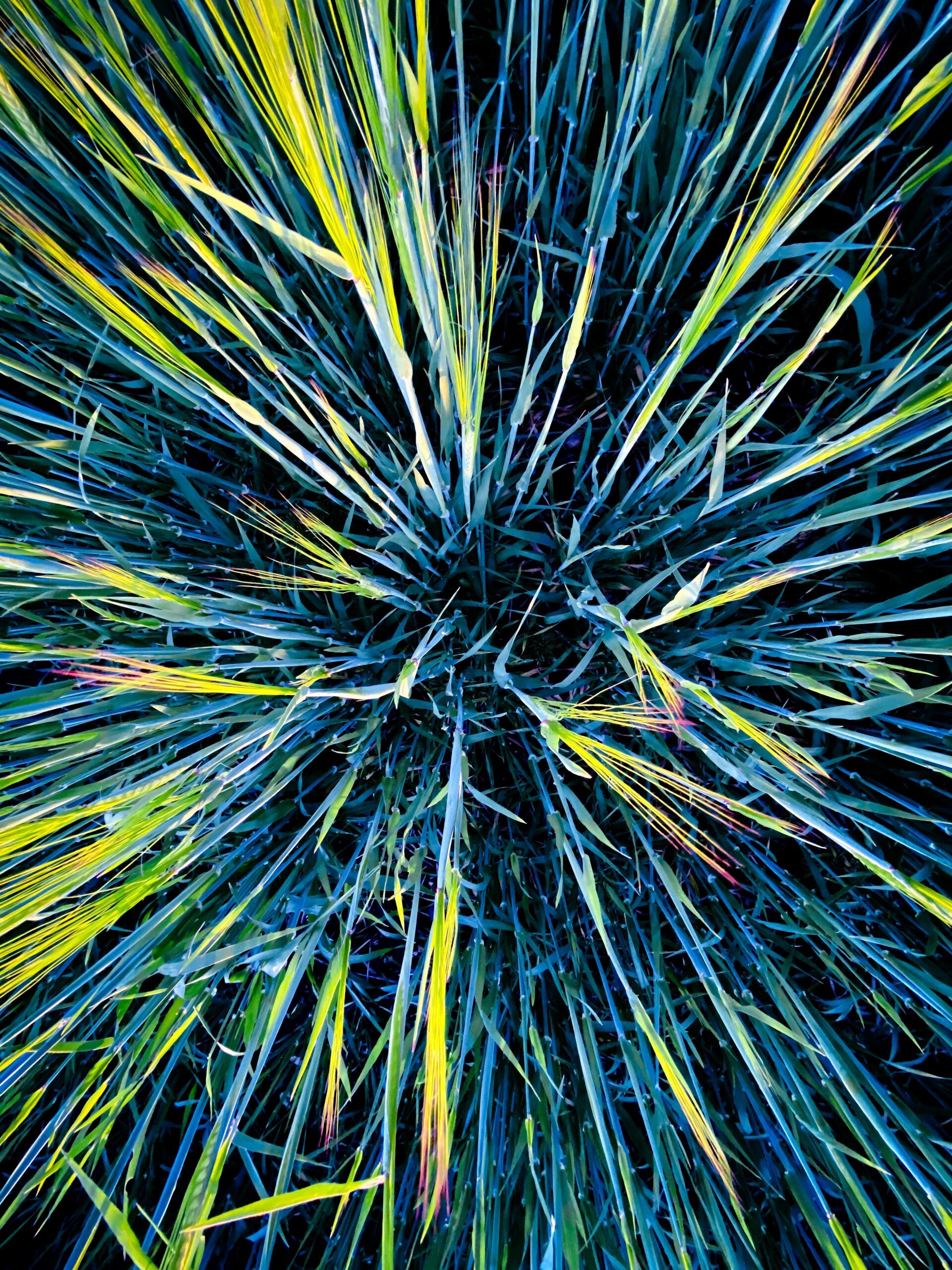 Photo by <a href="https://unsplash.com/@profwicks" rel="nofollow">Ben Wicks</a> on <a href="https://unsplash.com/?utm_source=hostinger&utm_medium=referral" rel="nofollow">Unsplash</a>