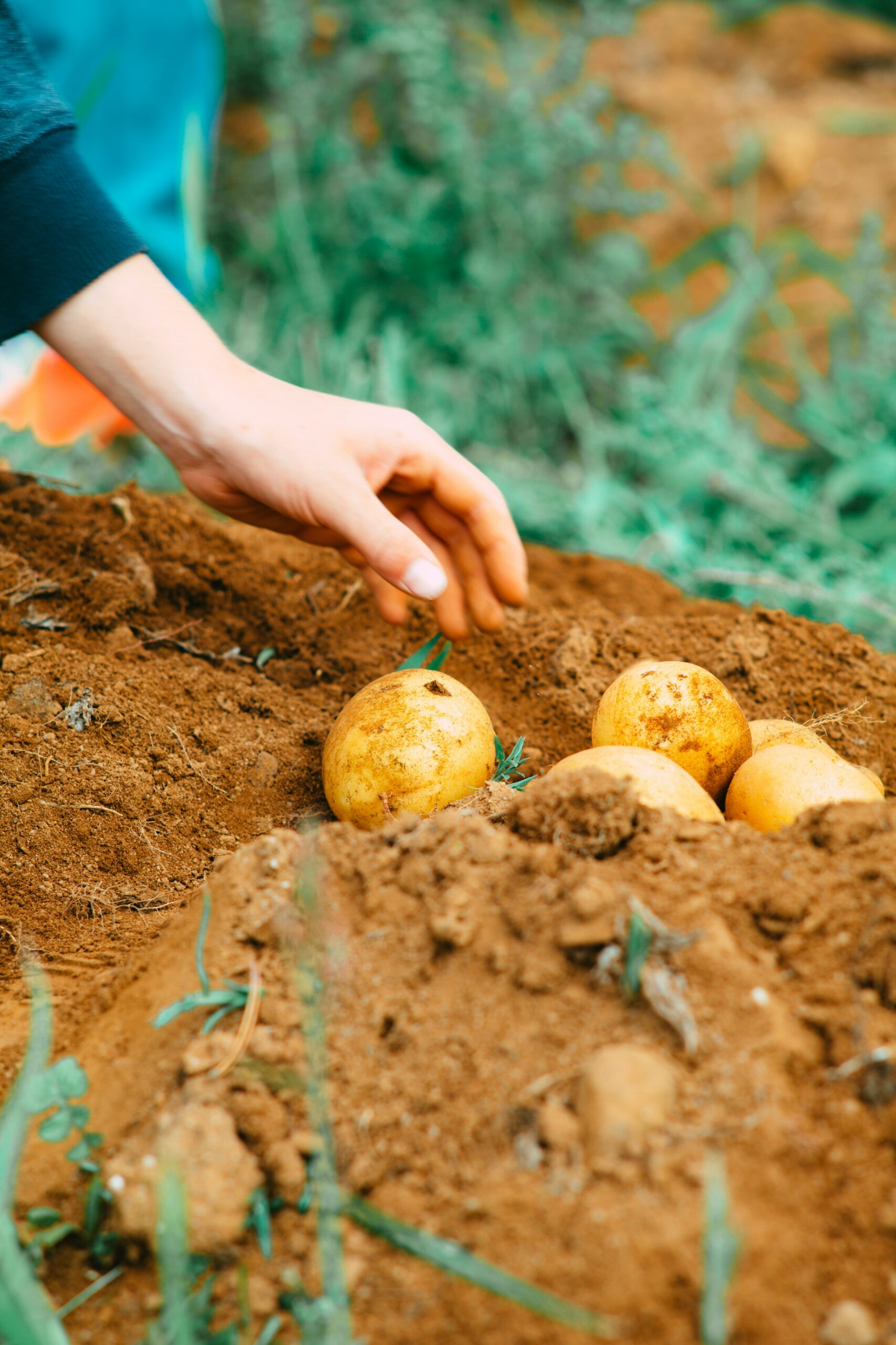 Photo by <a href="https://unsplash.com/@markusspiske" rel="nofollow">Markus Spiske</a> on <a href="https://unsplash.com/?utm_source=hostinger&utm_medium=referral" rel="nofollow">Unsplash</a> 