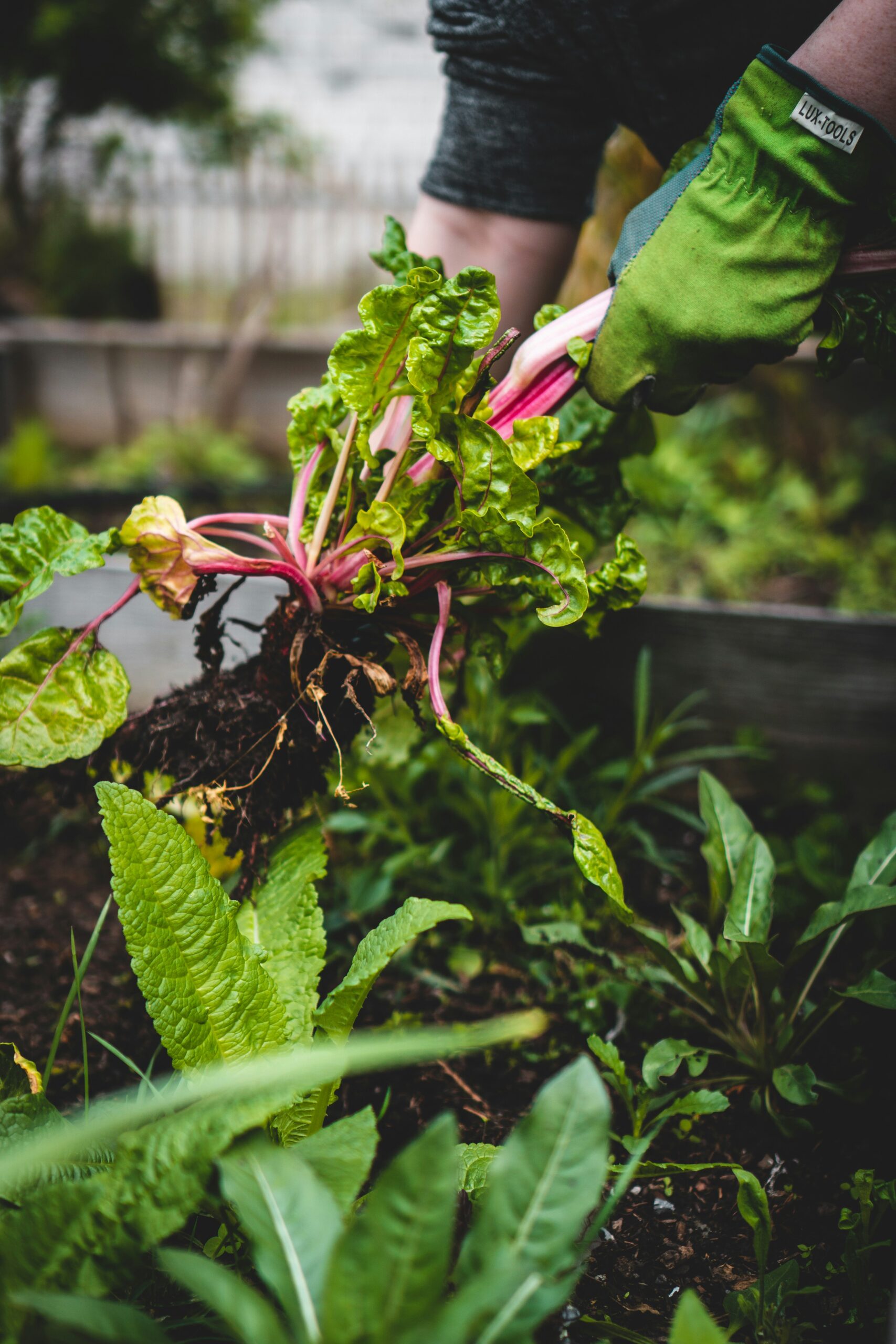 Photo by <a href="https://unsplash.com/@jupp" rel="nofollow">Jonathan Kemper</a> on <a href="https://unsplash.com/?utm_source=hostinger&utm_medium=referral" rel="nofollow">Unsplash</a>