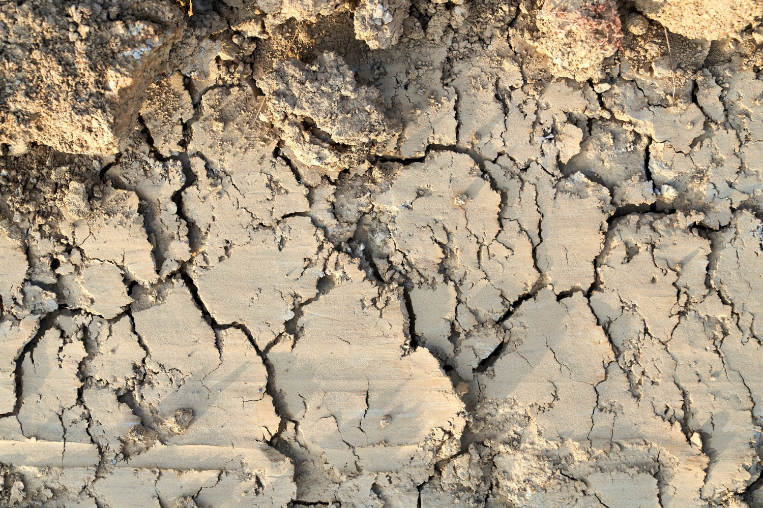 Effective Soil Erosion Prevention Methods