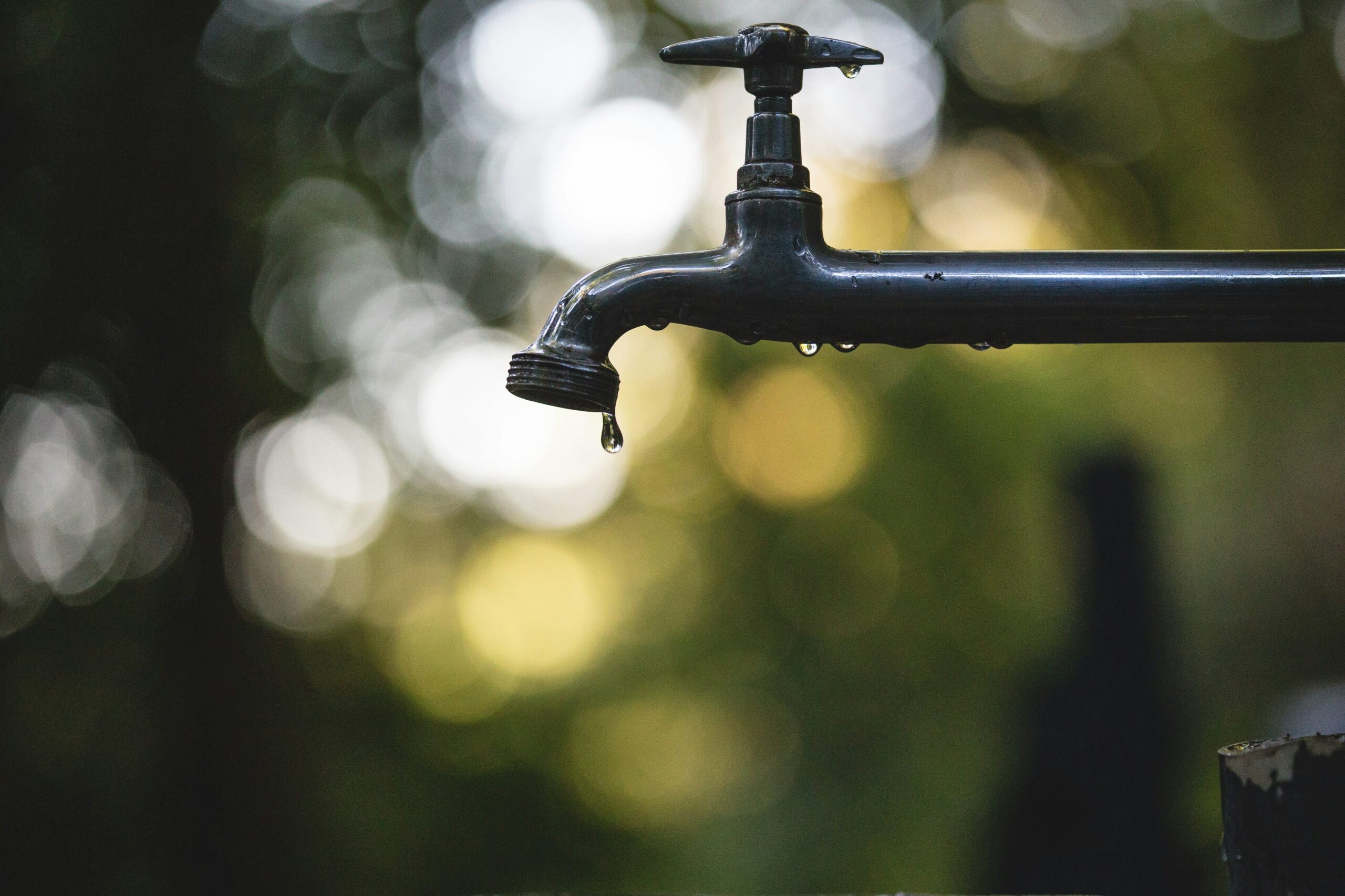 Photo by <a href="https://unsplash.com/@luis_tosta" rel="nofollow">Luis Tosta</a> on <a href="https://unsplash.com/?utm_source=hostinger&utm_medium=referral" rel="nofollow">Unsplash</a>