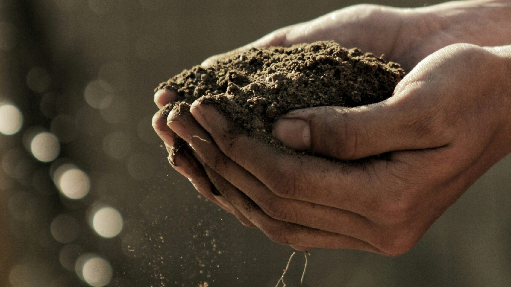 Photo by <a href="https://unsplash.com/@gabrielj_photography" rel="nofollow">Gabriel Jimenez</a> on <a href="https://unsplash.com/?utm_source=hostinger&utm_medium=referral" rel="nofollow">Unsplash</a>