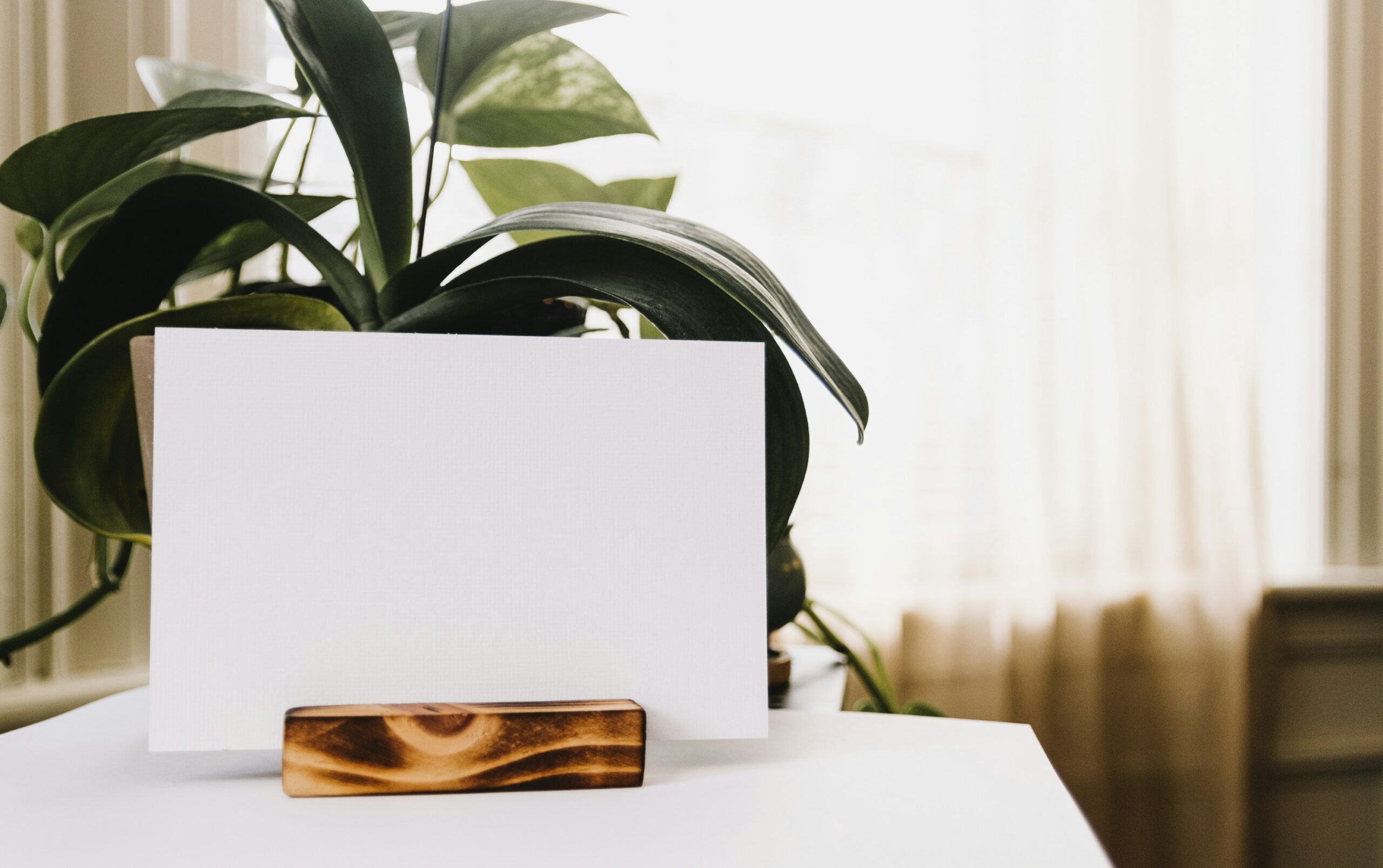 Photo by <a href="https://unsplash.com/@kellysikkema" rel="nofollow">Kelly Sikkema</a> on <a href="https://unsplash.com/?utm_source=hostinger&utm_medium=referral" rel="nofollow">Unsplash</a>